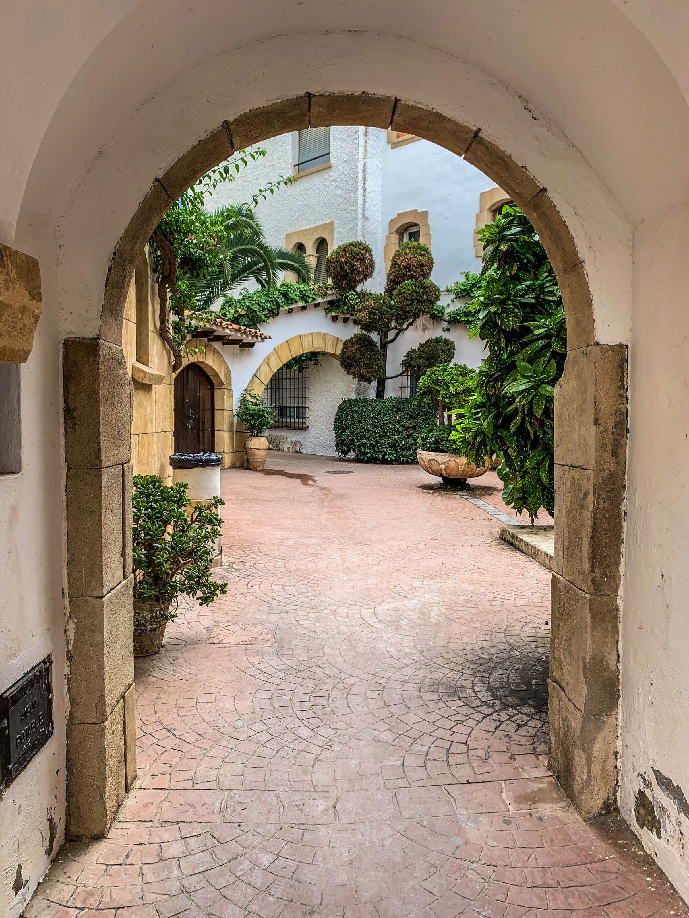 Lush mediterranean garden with soft green light